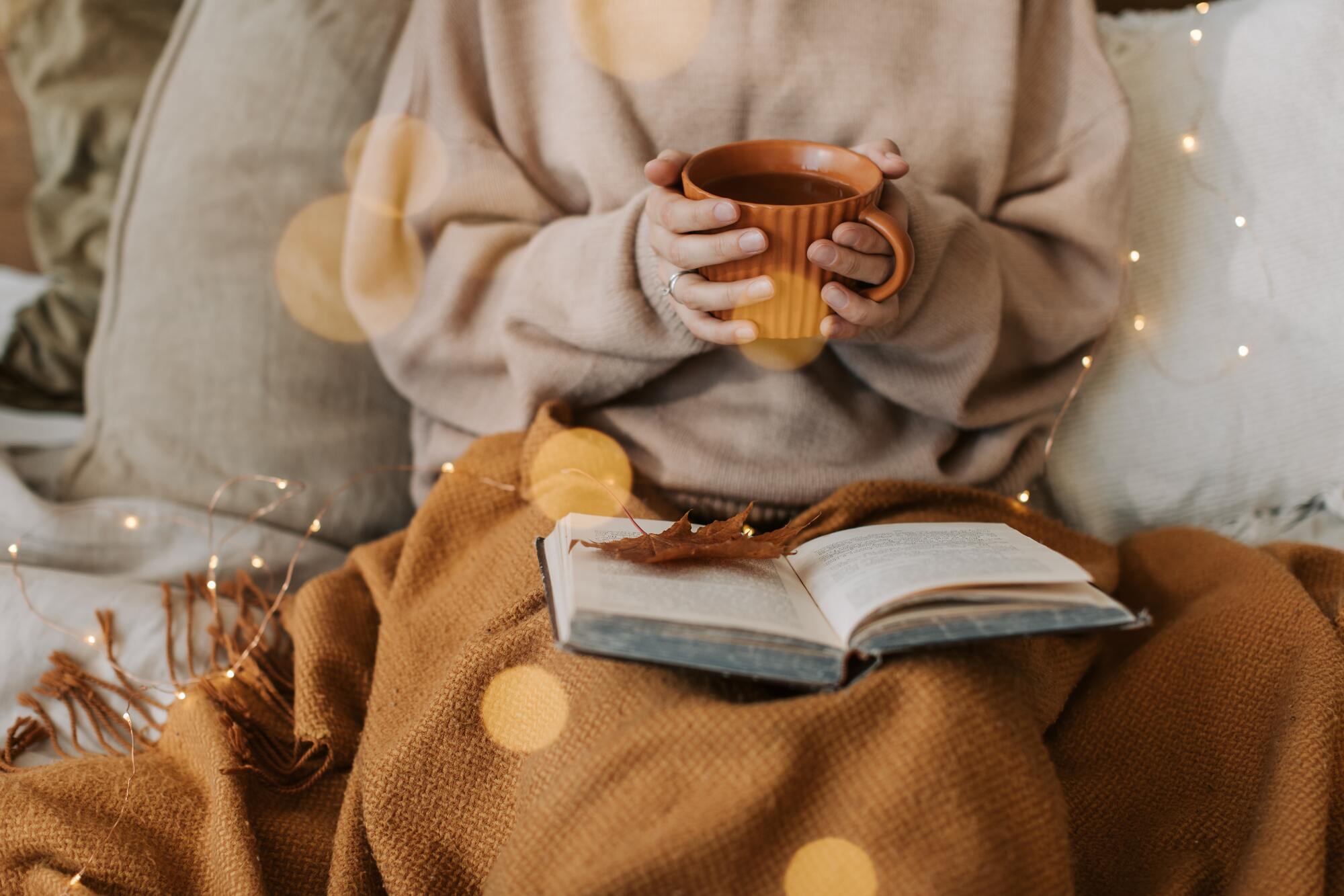 Woman's Hands Holding Mug of Coffee While Reading A Book