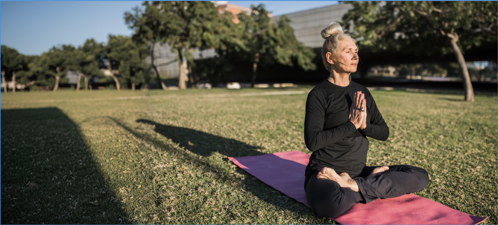 Emotional Regulation Skills